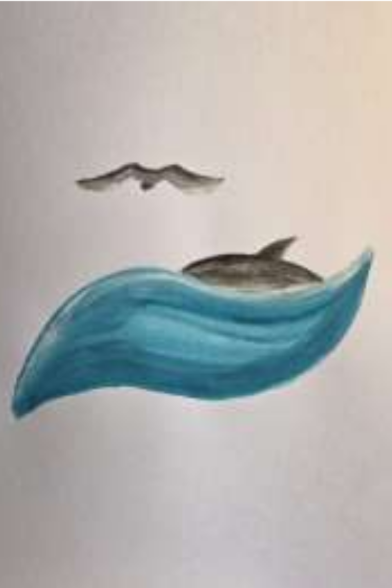 5 Welle Delphin Vogel